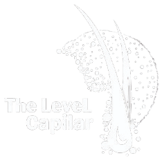 The LeveL Capilar Logo